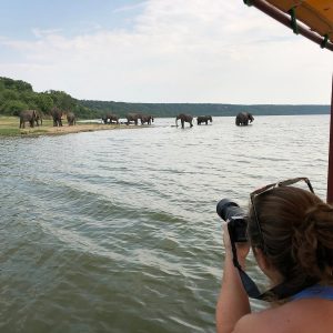 Tembo safari lodge (3)