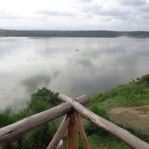 Tembo lodge