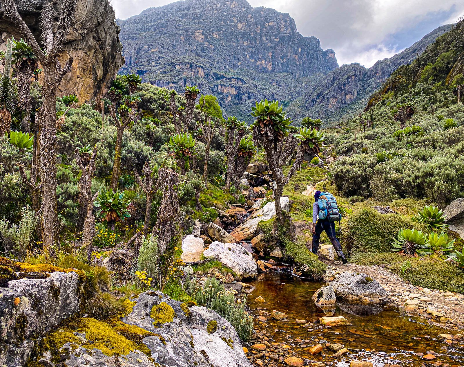 Rwenzori Mountains 03 1600p